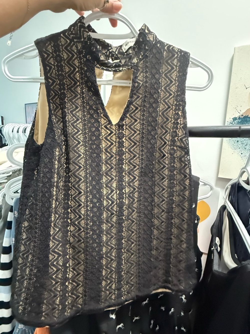 Sleeveless Black Lace Overlay Camisole with Cream Lining